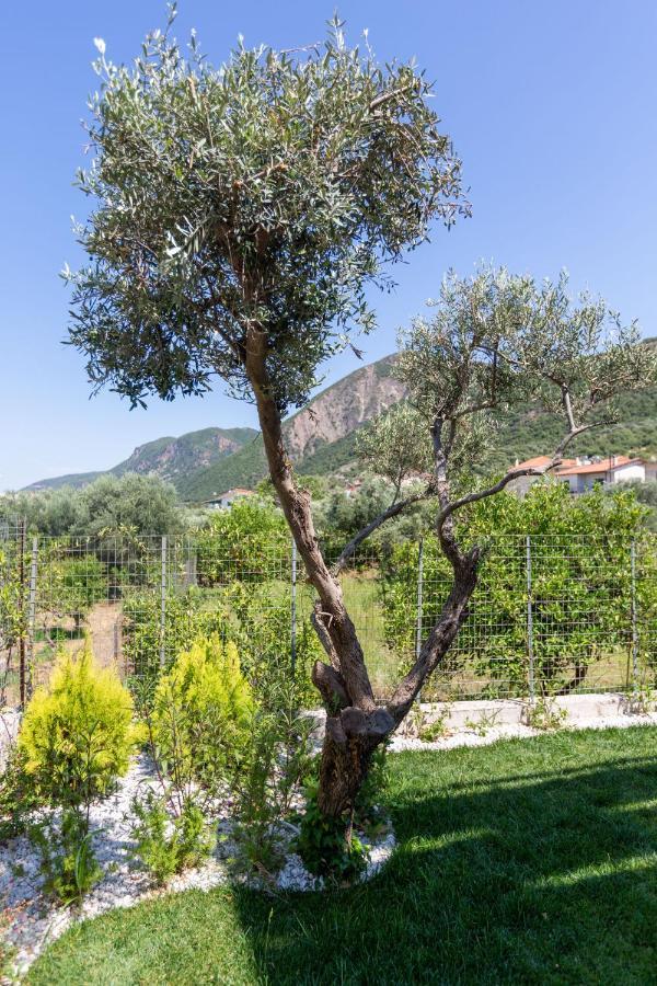 Two Olive Trees Appartement Psathópirgos Buitenkant foto